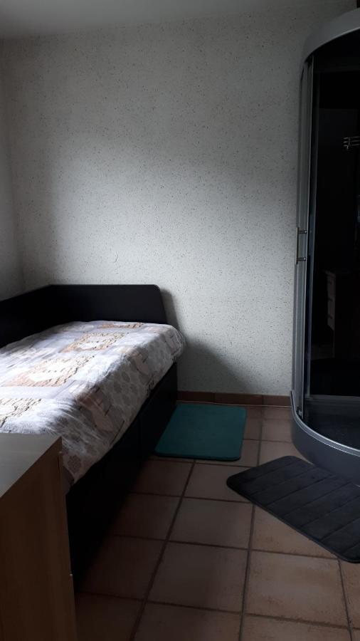Chambre D'Hotes Du Tailfer Люстен Экстерьер фото